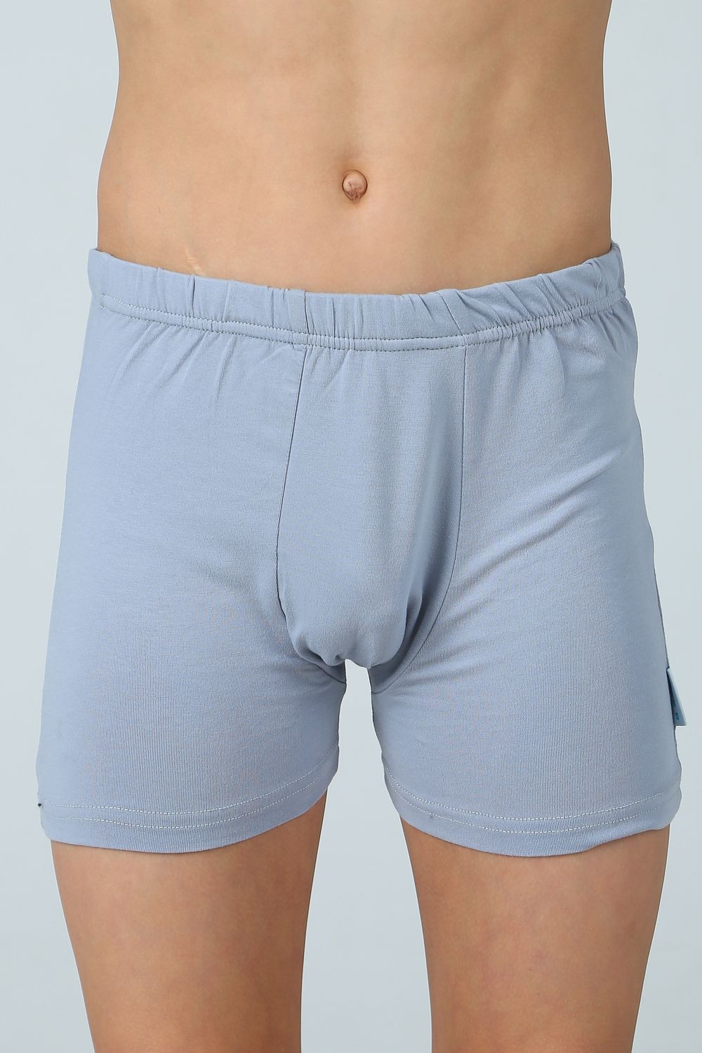 Комплект трусов-боксеров для мальчика KR-ТР-1103 - серый