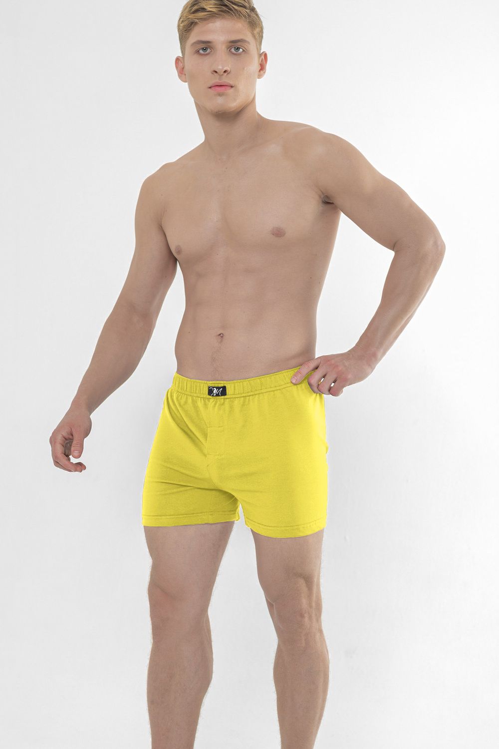 Трусы мужские классические Cavalo Marinho СТЭ - зеленый