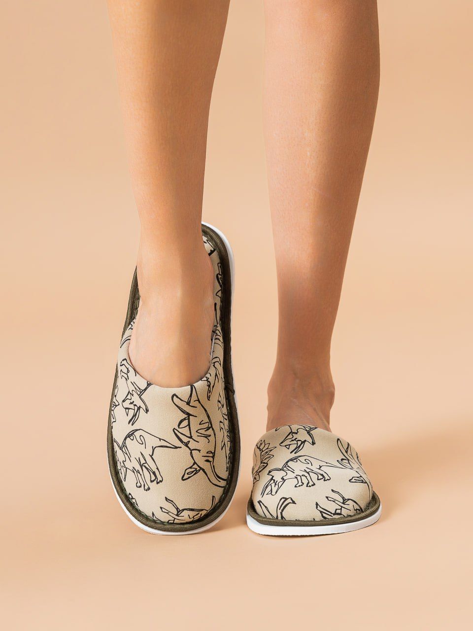 Тапочки домашние С-6ДМ(мл)-МР - динозавры