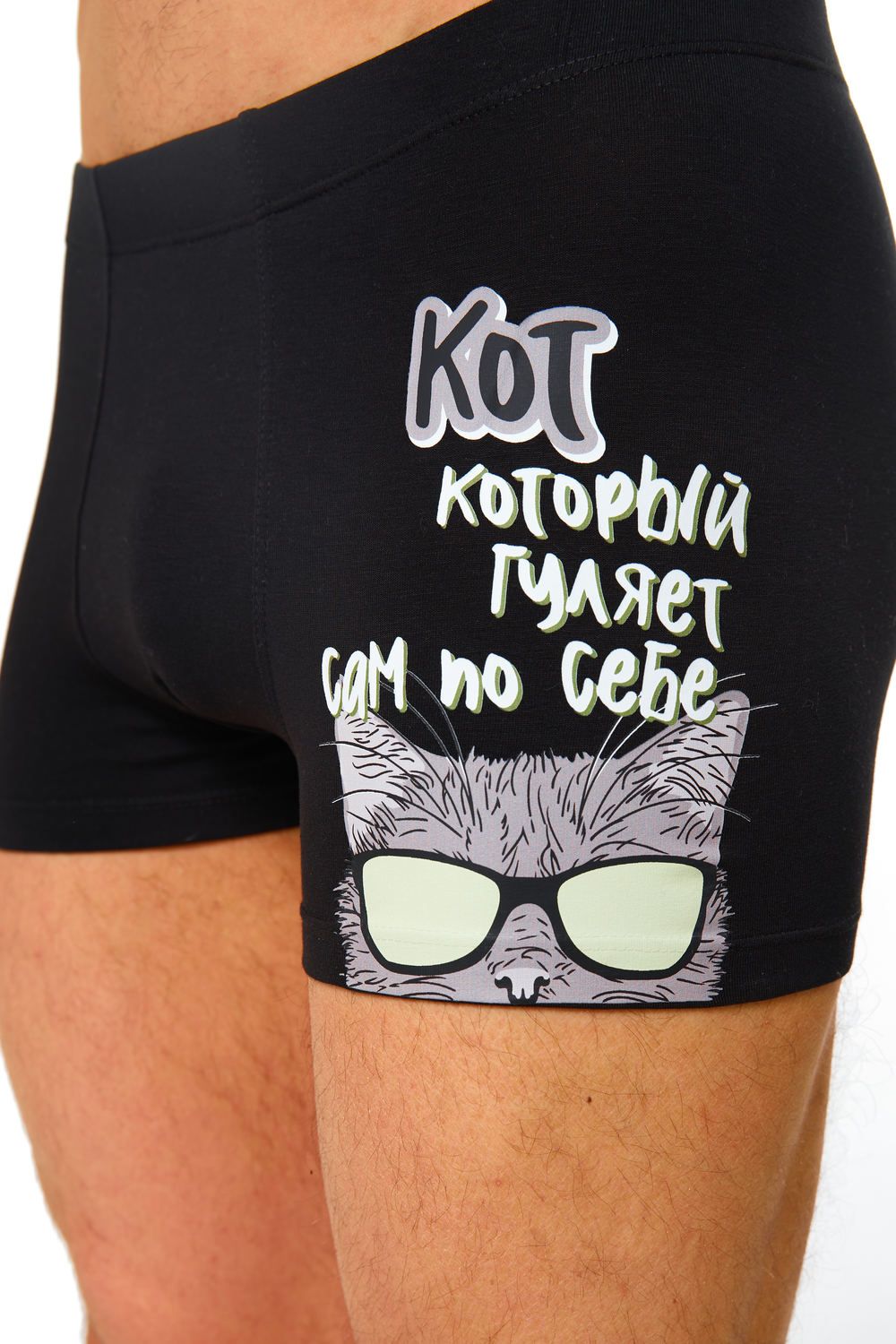 Трусы EMOTION DAY Гулящий кот - черный