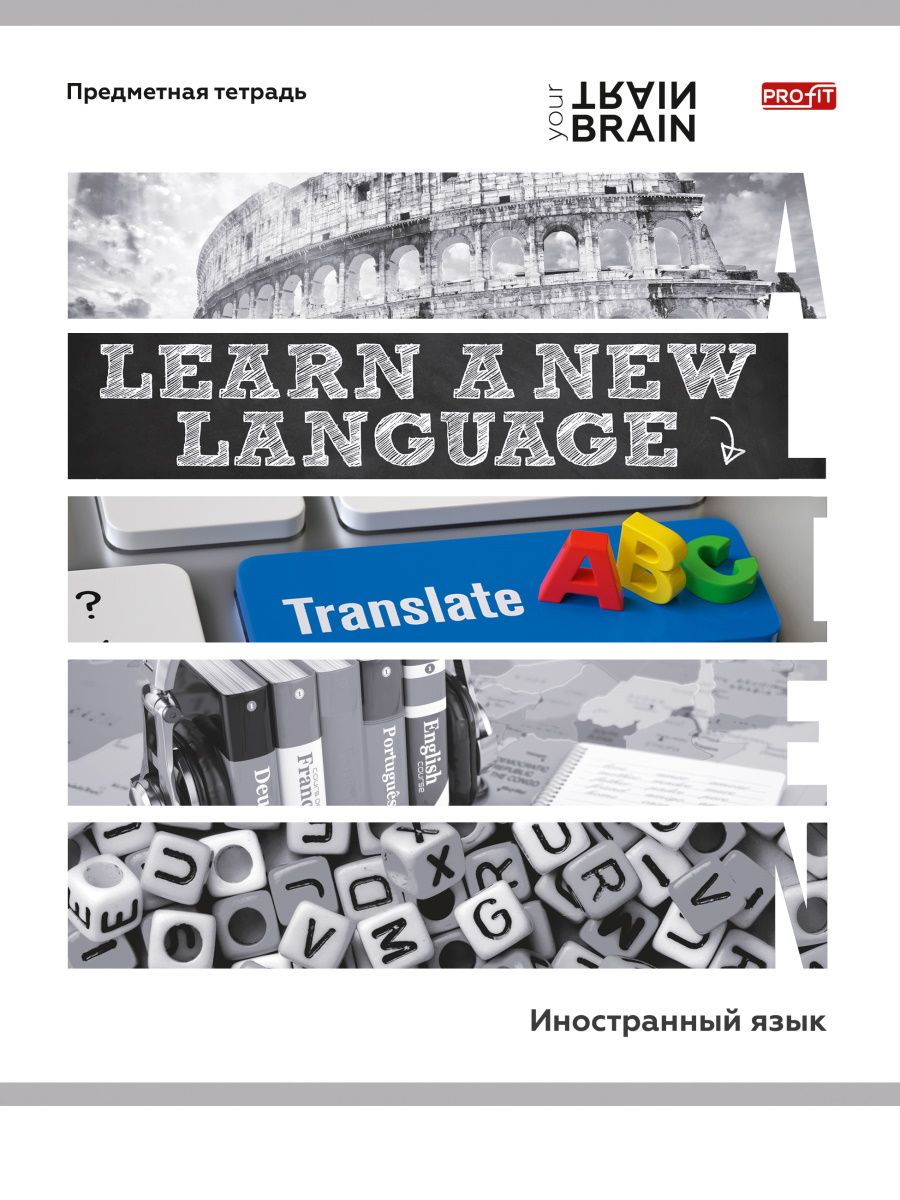 Тетрадь КЛЕТКА 48л. ИНОСТРАННЫЙ ЯЗЫК «КОНТРАСТЫ» (Т48-1408) эконом-вариант, б/о