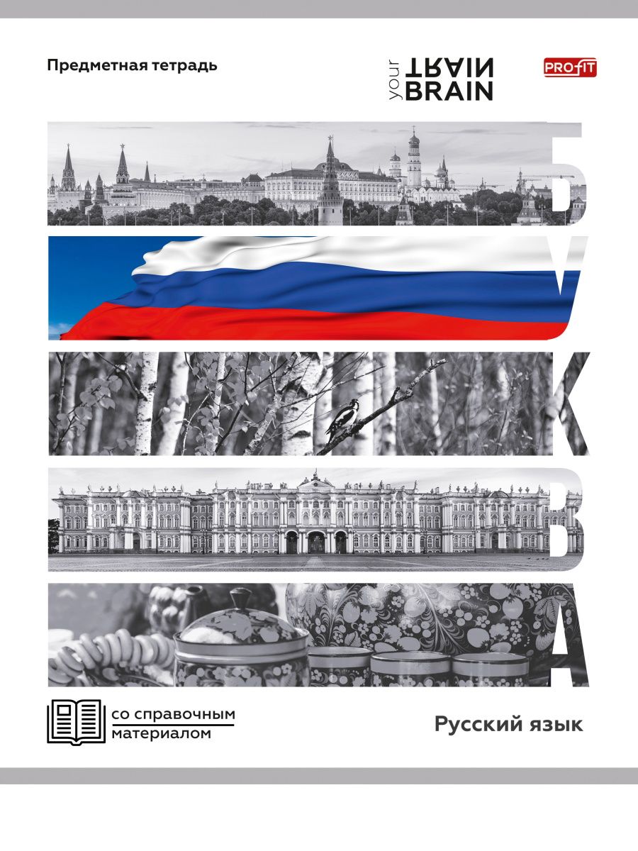 Тетрадь ЛИНИЯ 48л. РУССКИЙ ЯЗЫК «КОНТРАСТЫ» (Т48-1418) эконом-вариант, б/о