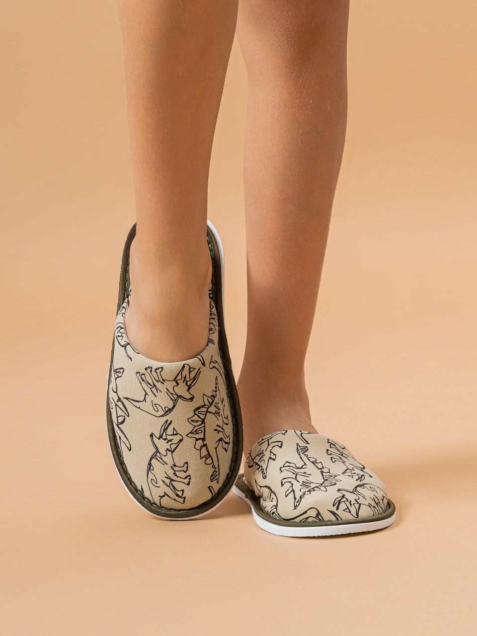 Тапочки домашние С-6ДМ(мл)-МР/ - динозавры