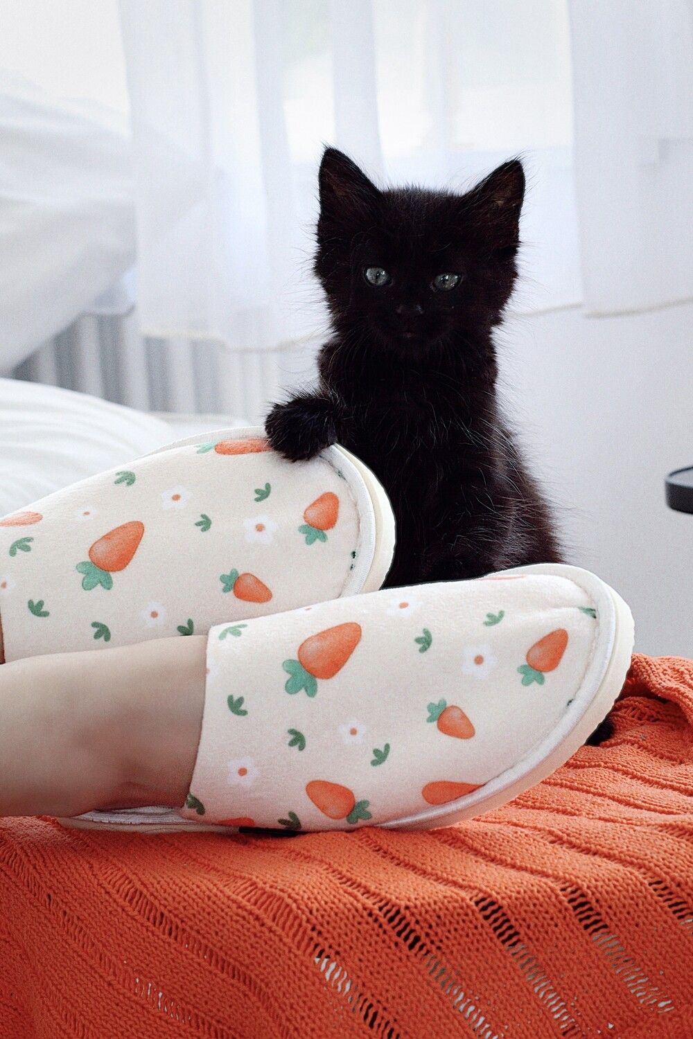 Тапки Морковный дождь - оранж,беж