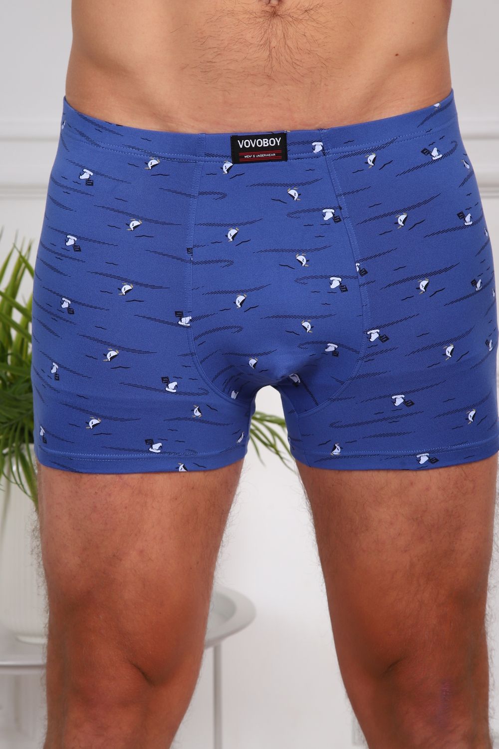 Трусы 64876 - мультицвет