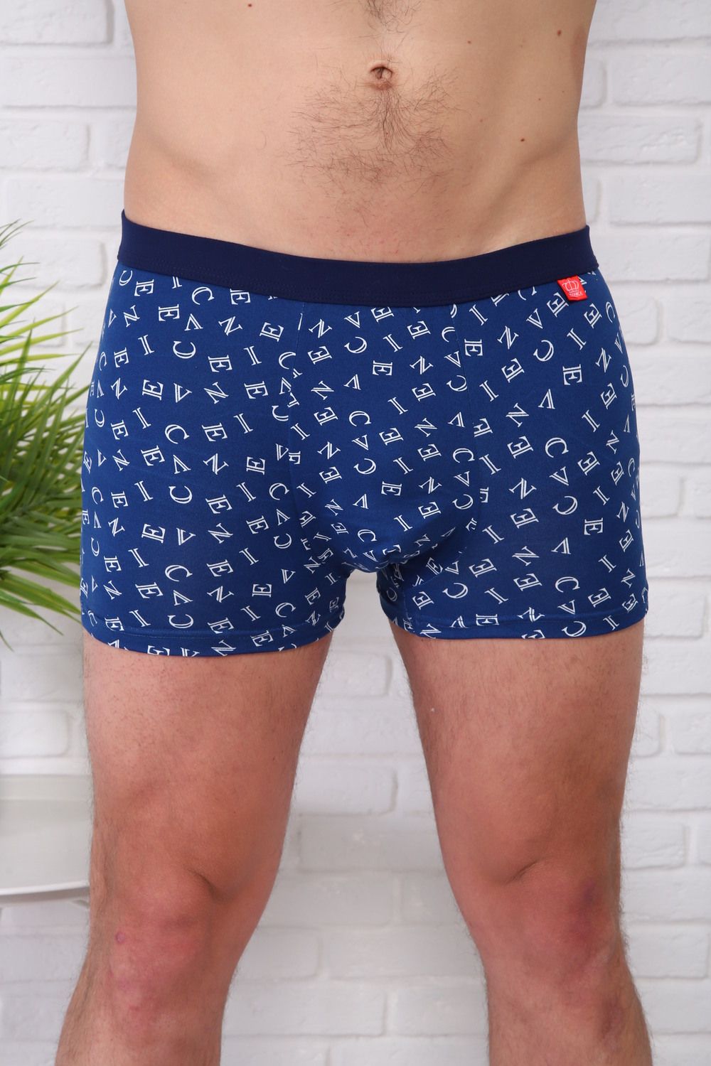 Трусы 64947 - мультицвет