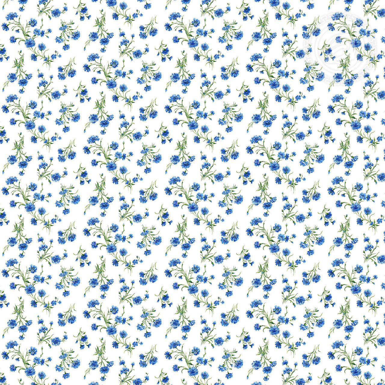 Васильки 5-Р-150