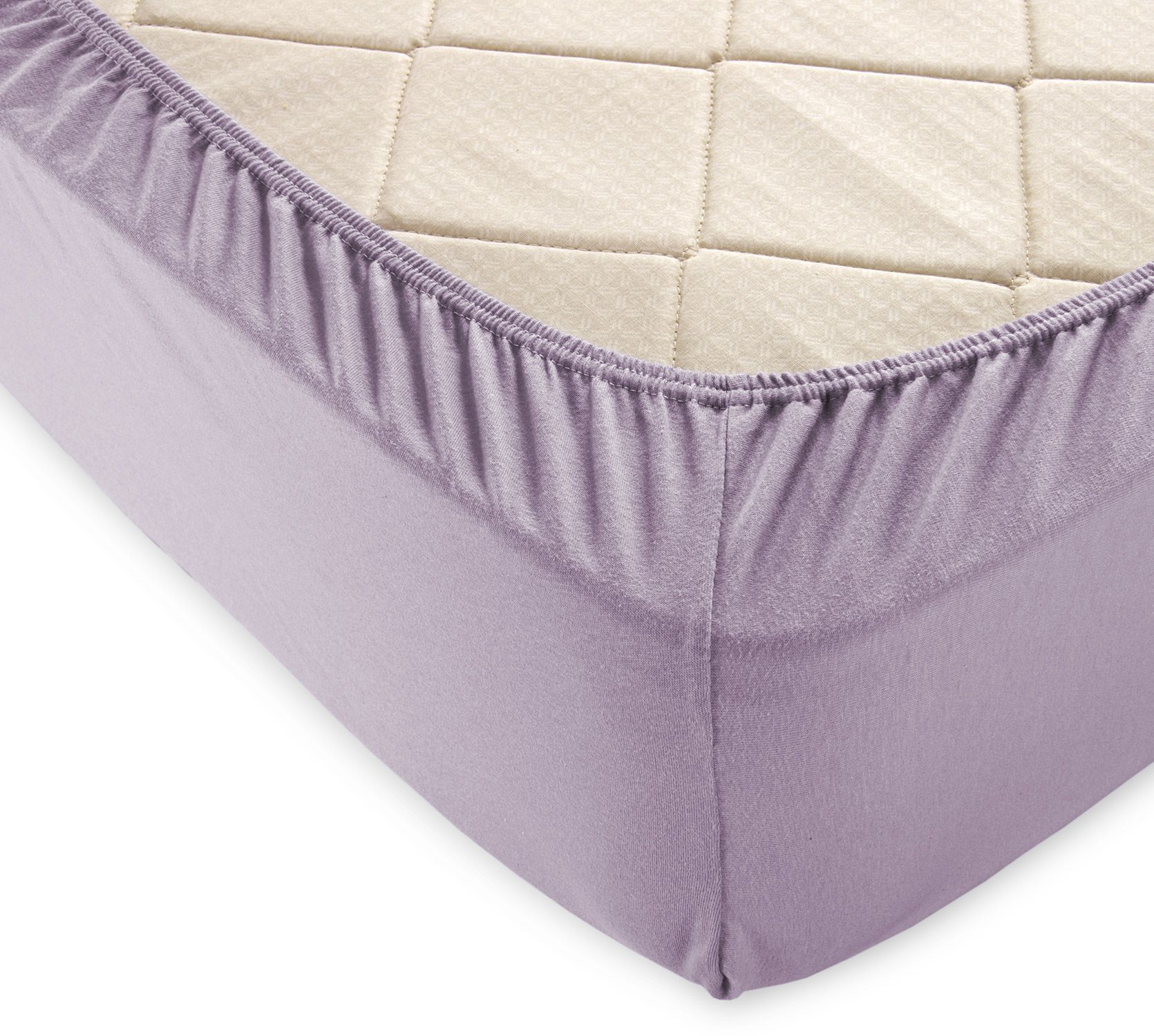 Пыльная роза